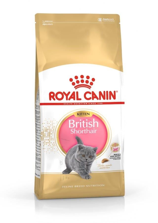 Royal Canin British Shorthair için Yavru Kedi Maması 2kg