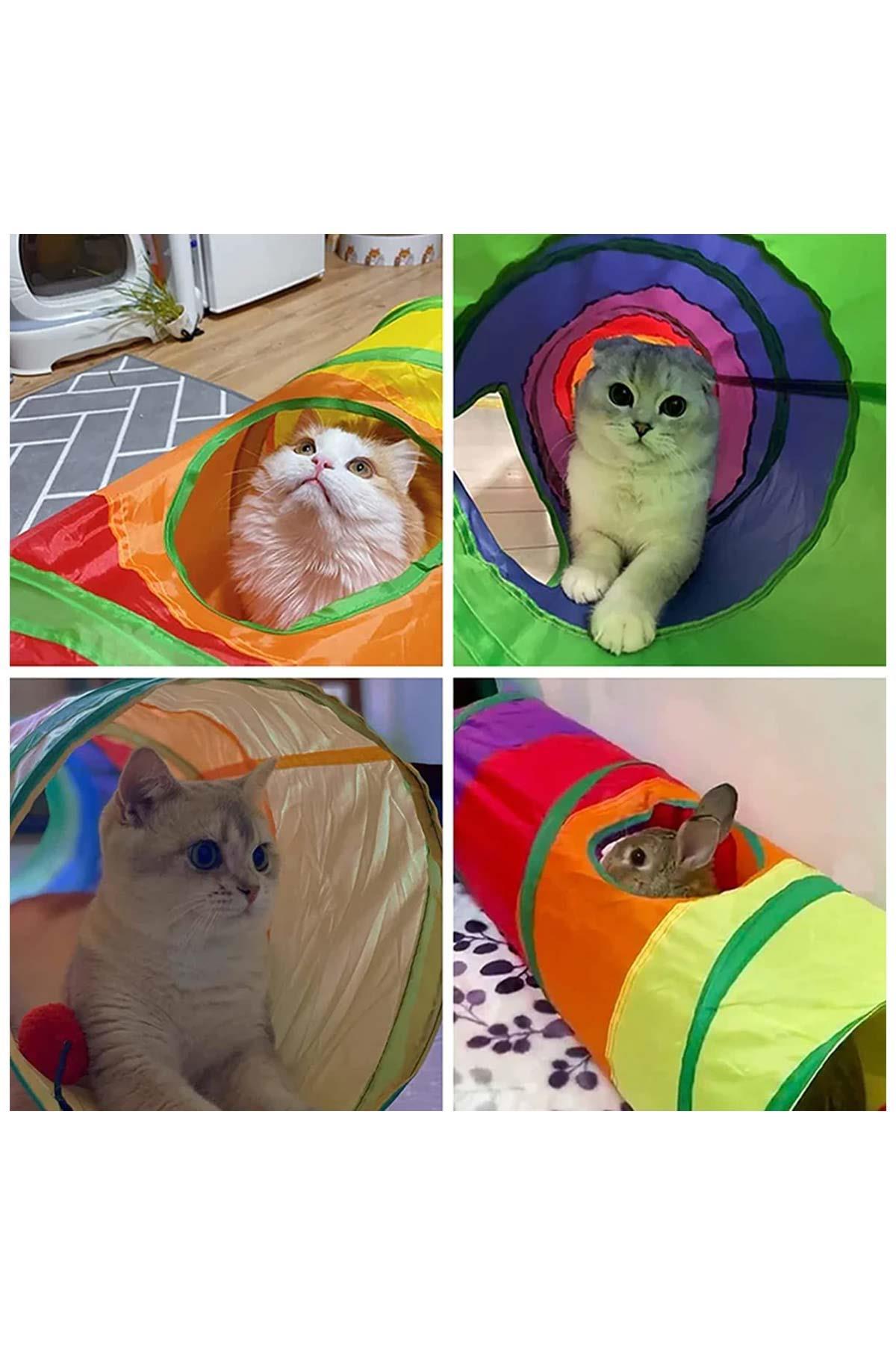 Düz Kedi Tüneli Katlanır Gökkuşağı Uzun Düz Kedi Köpek Oyun Tüneli Evcil Hayvan Oyun Tüneli 2110