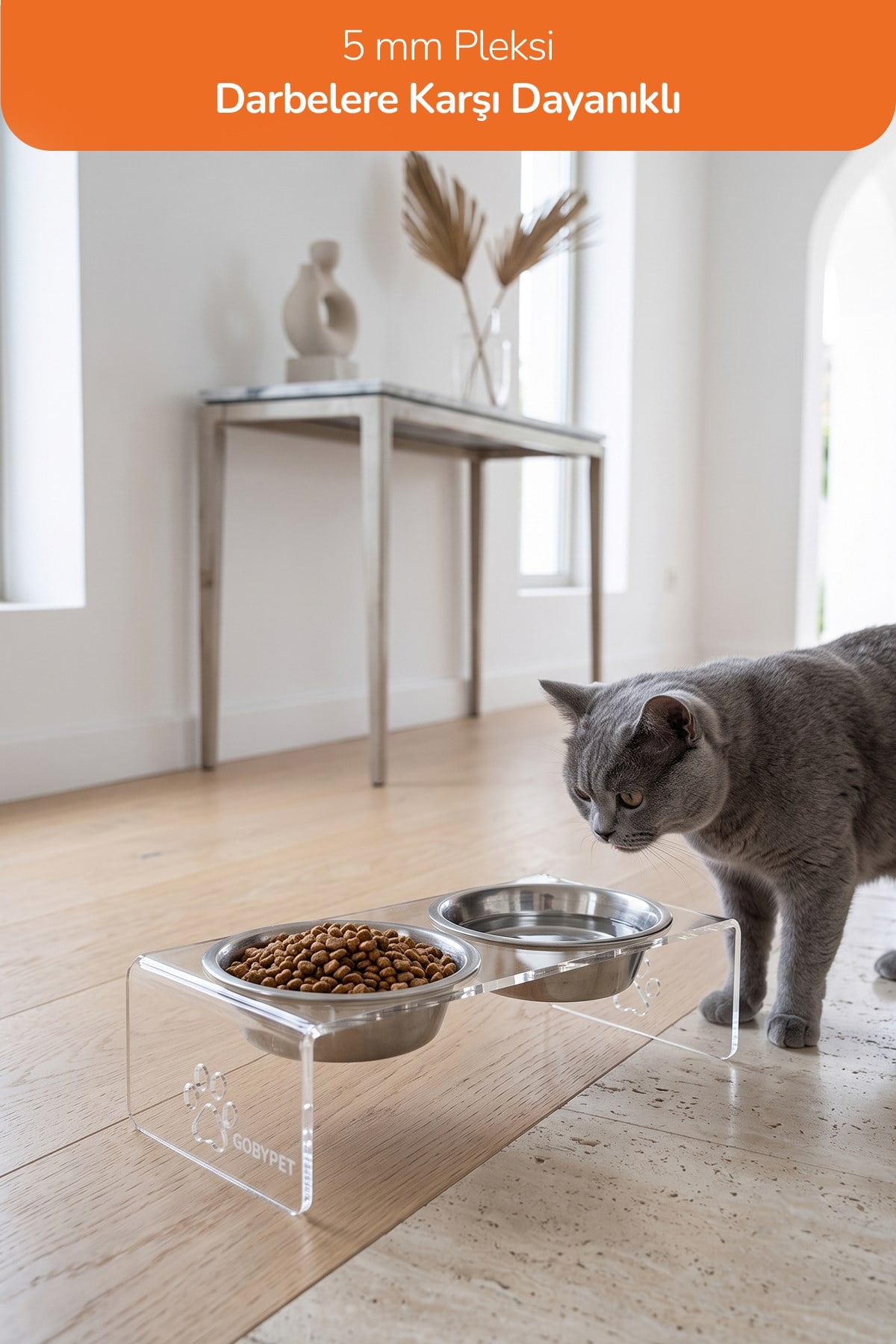 2'li Seramik Dekoratif Kedi Ve Köpek Pleksi Mama & Su Kabı Paspas