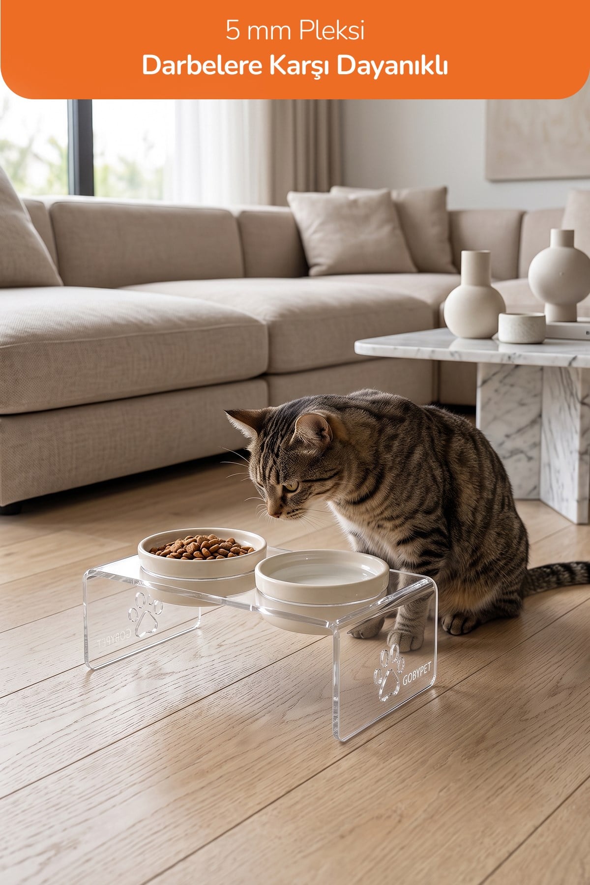 2'li Seramik Dekoratif Kedi Ve Köpek Pleksi Mama & Su Kabı Paspas