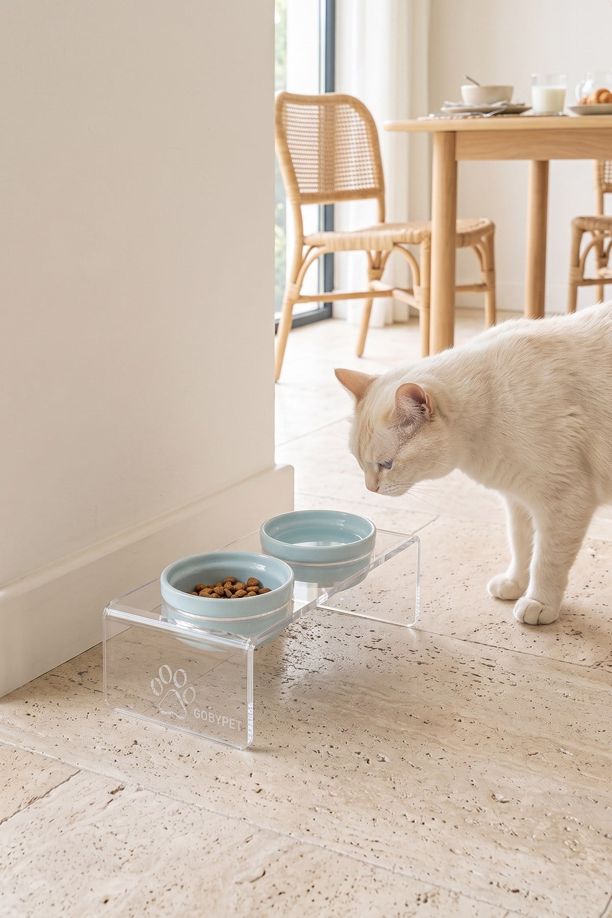 2'li Seramik Dekoratif Kedi Ve Köpek Pleksi Mama & Su Kabı Paspas