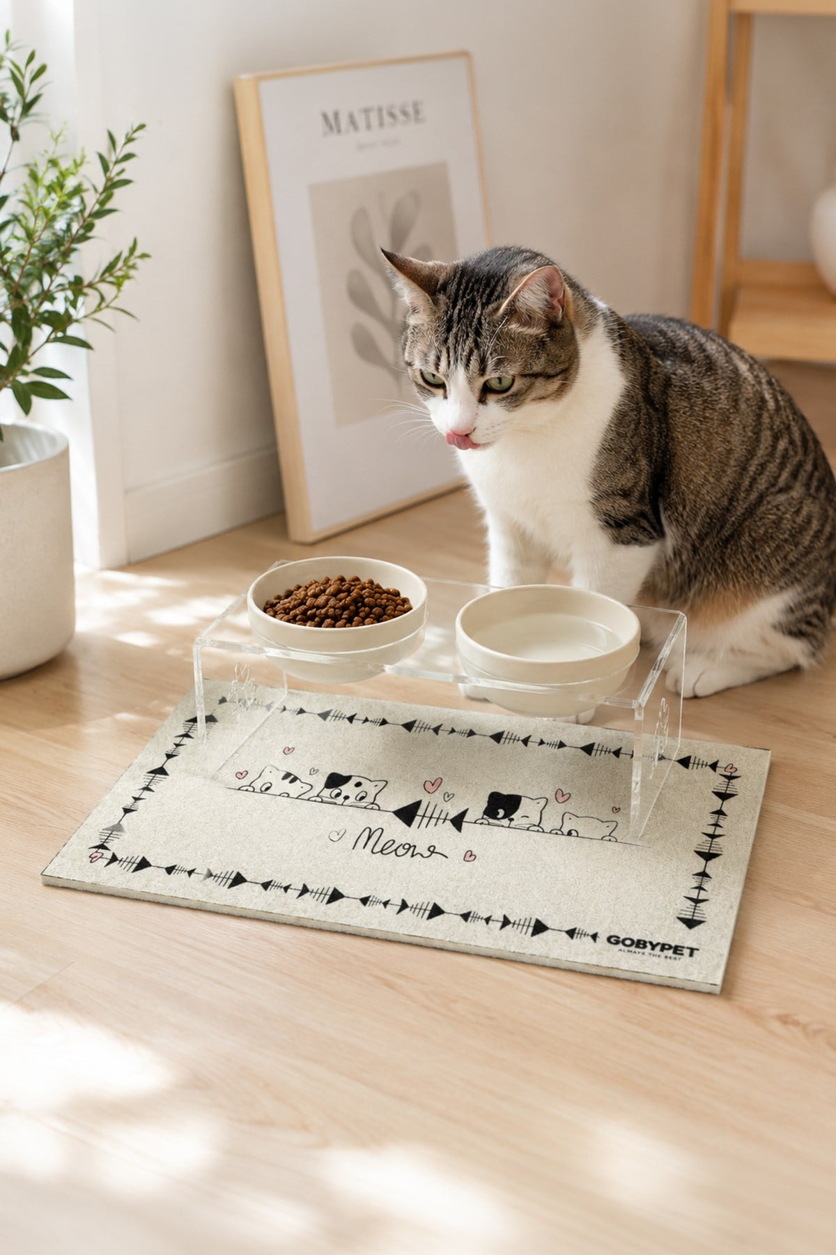 2'li Seramik Dekoratif Kedi Ve Köpek Pleksi Mama & Su Kabı Paspas