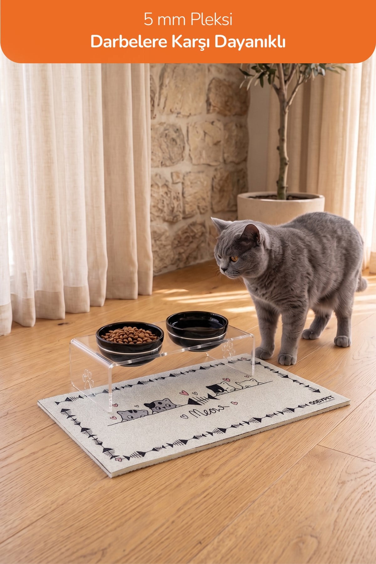 2'li Seramik Dekoratif Kedi Ve Köpek Pleksi Mama & Su Kabı Paspas