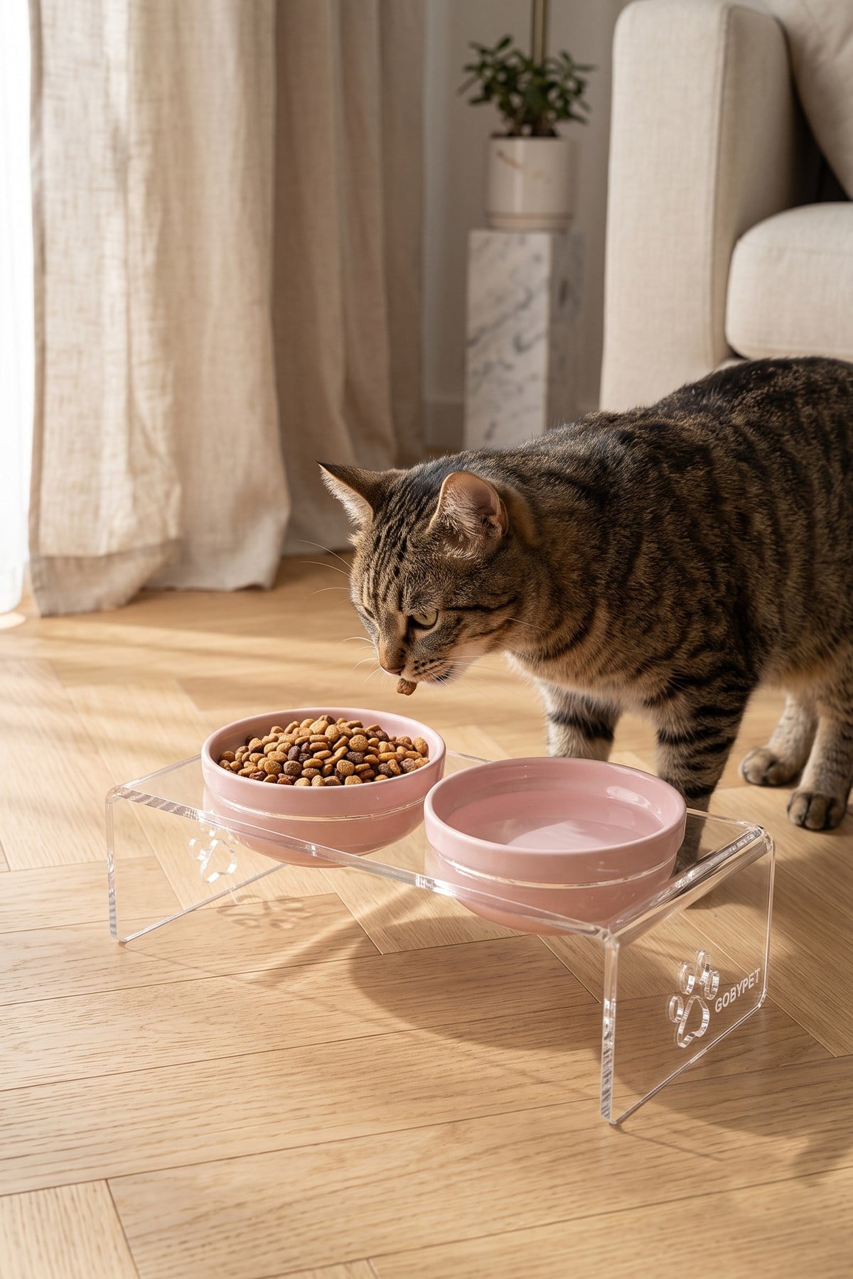 2'li Seramik Dekoratif Kedi Ve Köpek Pleksi Mama & Su Kabı Paspas