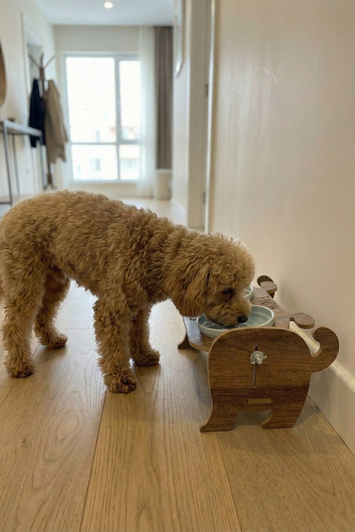Ahşap Özel Isim Baskılı, Köpek Seramik Mama Su Kabı Standı