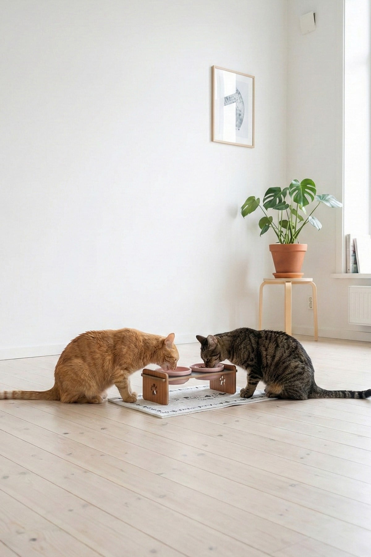 Ahşap Standlı Seramik Kaseli Kedi Ve Köpekler İçin Mama-Su Kabı Antrasit