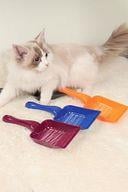 Aralıklı Plastik kedi Kumu Küreği,Temizleme Eleme Küreği Lacivert