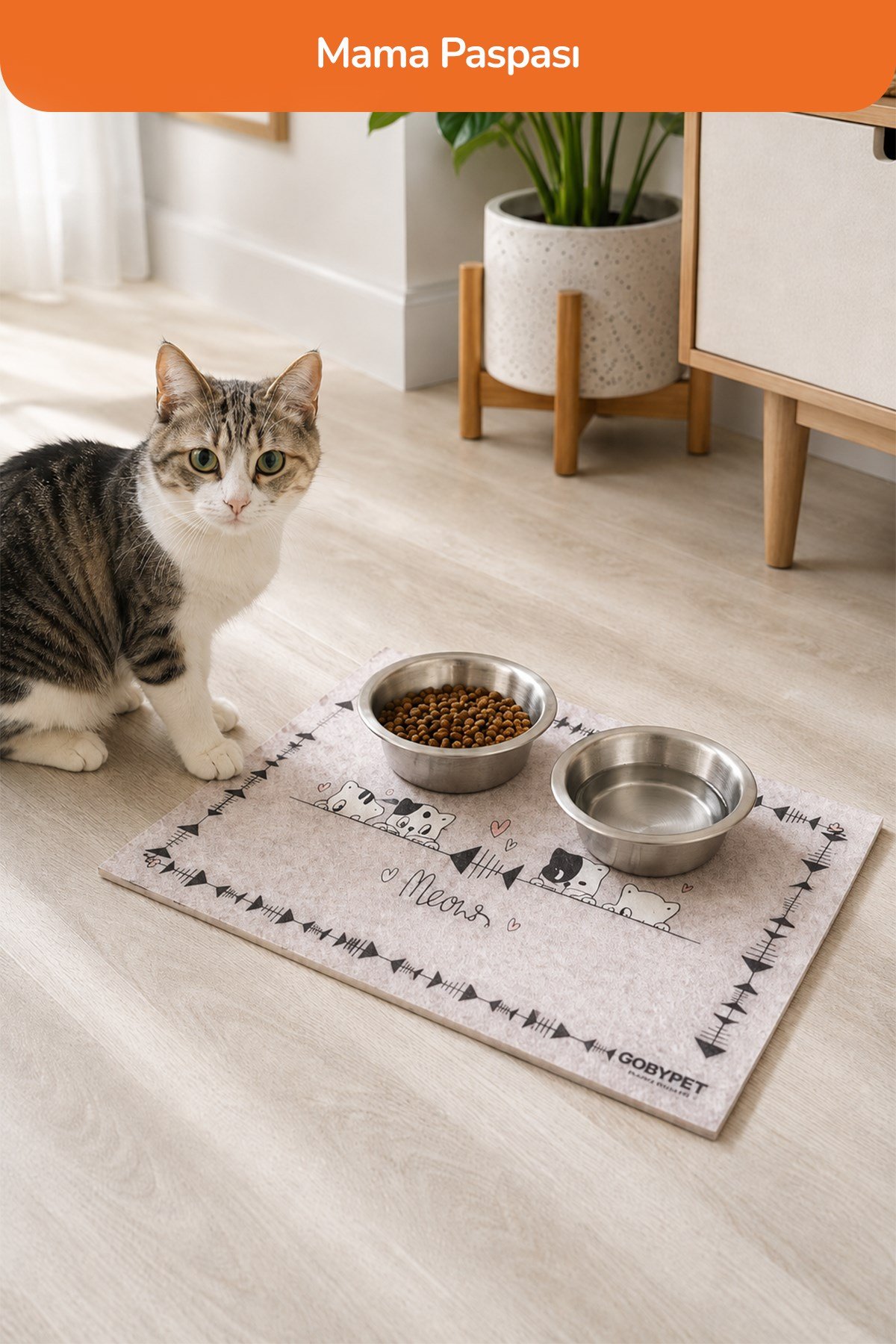 Gri Kedi Paspası 