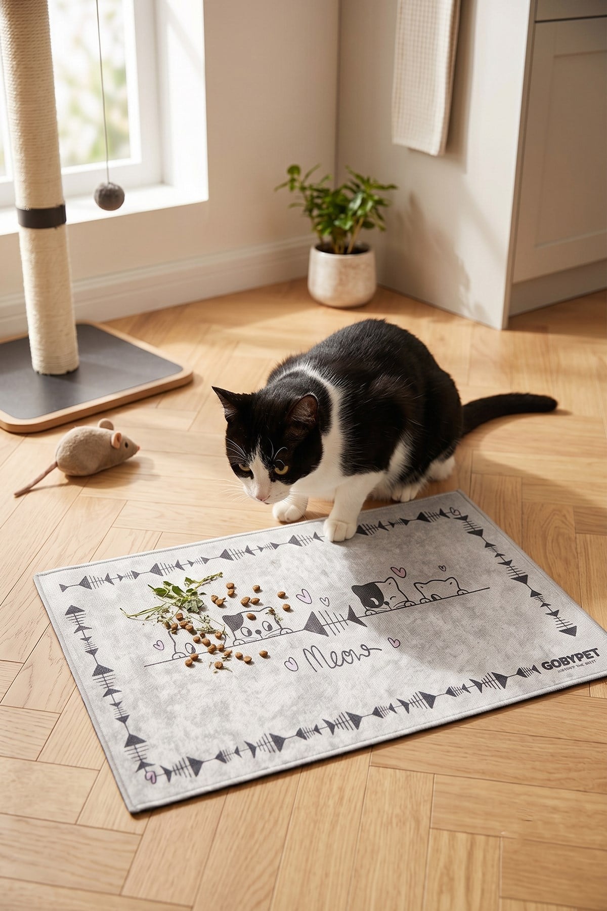 Gri Kedi Paspası 