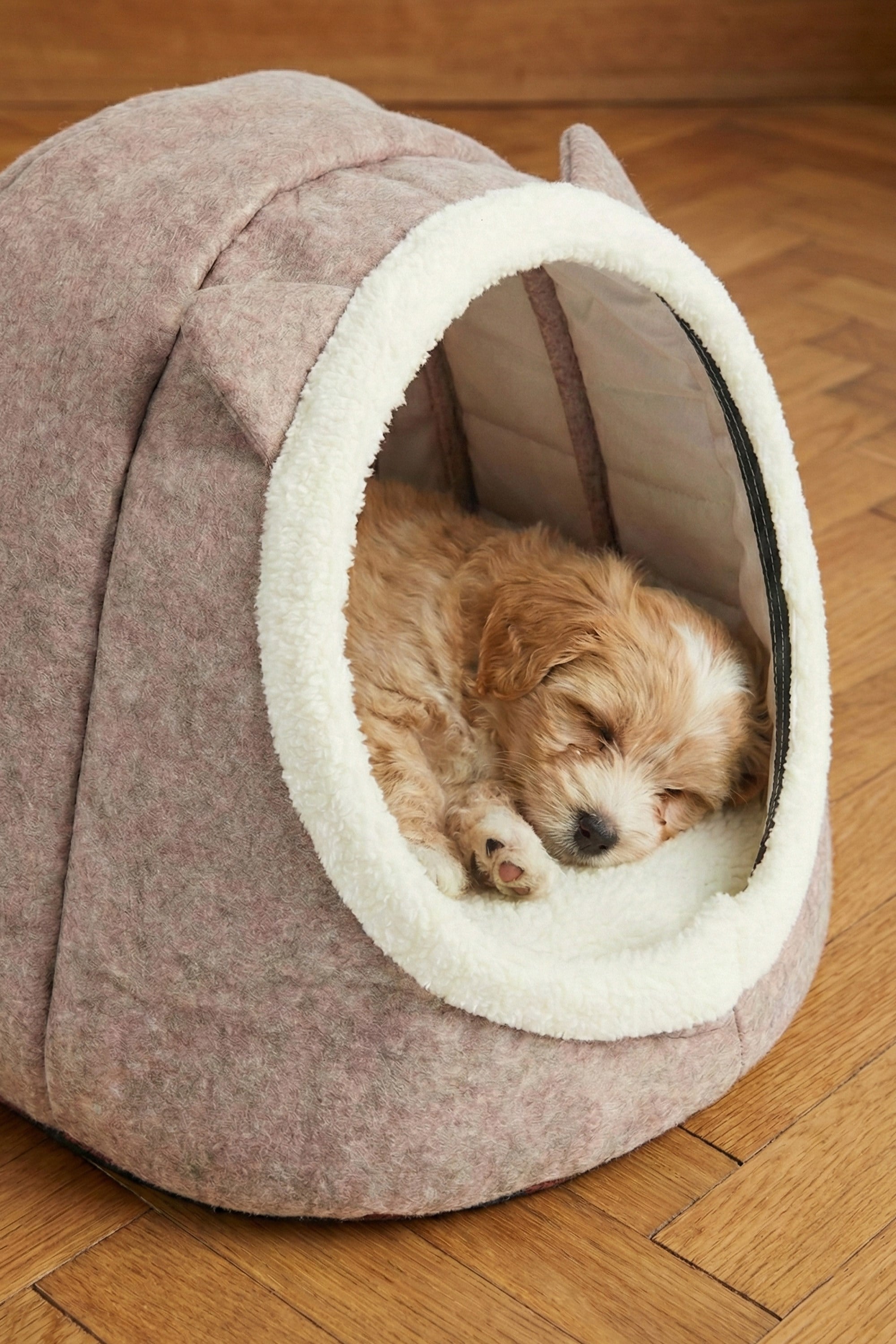 İsim Yazılabilir Kulaklı Mama Kabı Ve Keçe Kedi ve Küçük Irk Köpek Evi Seti Bej