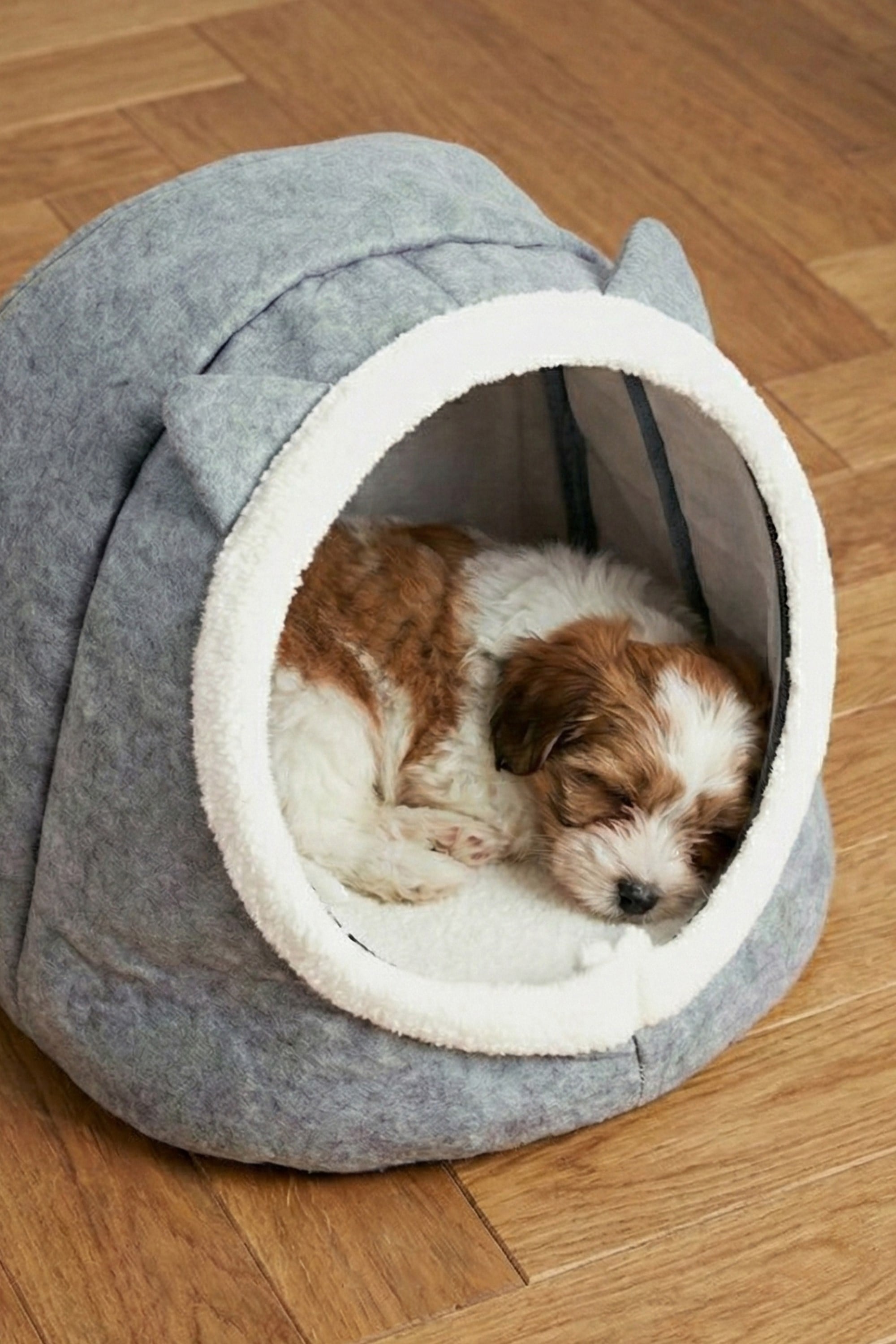 İsim Yazılabilir Kulaklı Mama Kabı Ve Keçe Kedi ve Küçük Irk Köpek Evi Seti Gri