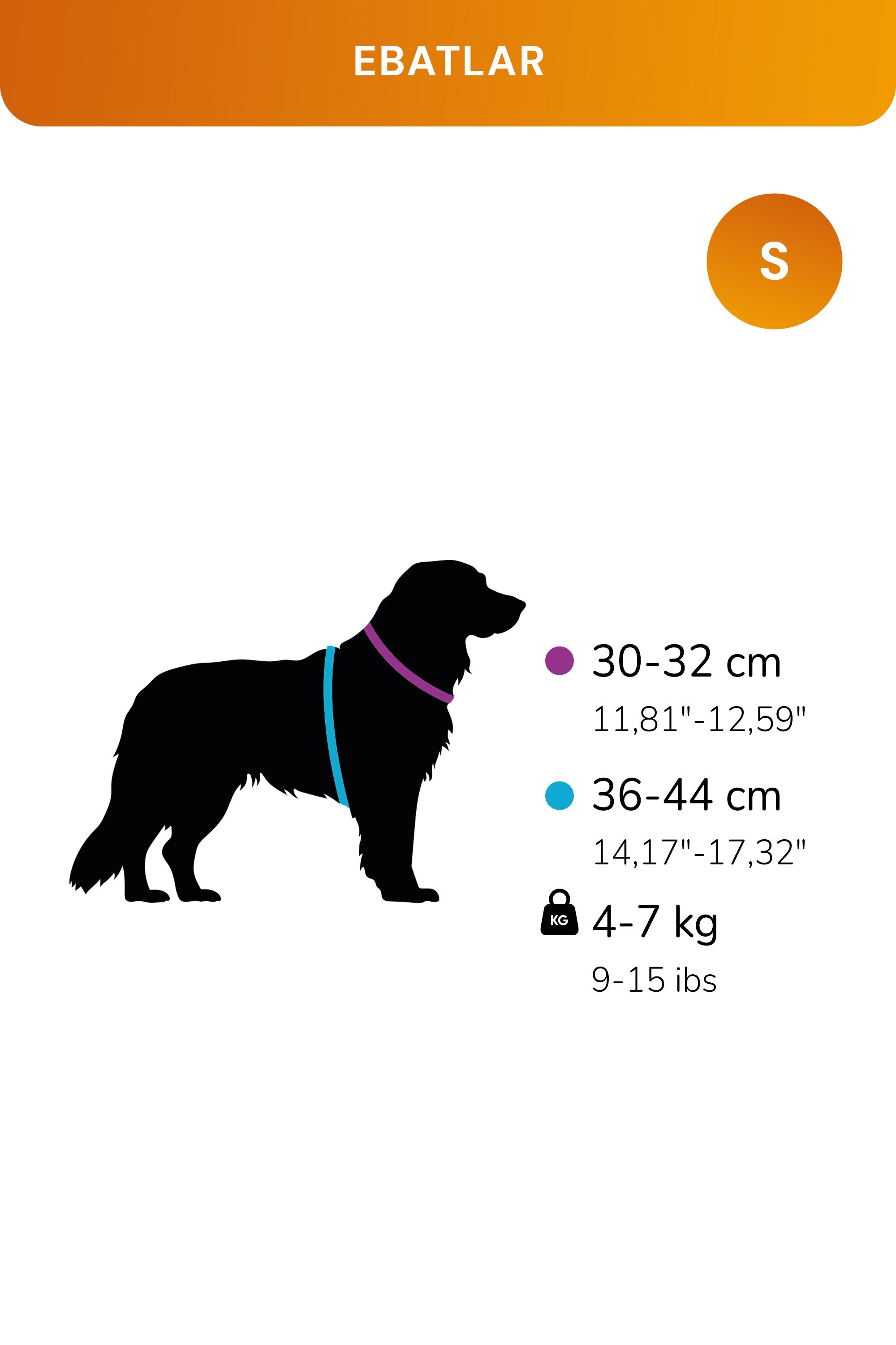 Kediler Ve Köpekler İçin Rahat, Dayanıklı Göğüs Tasması S