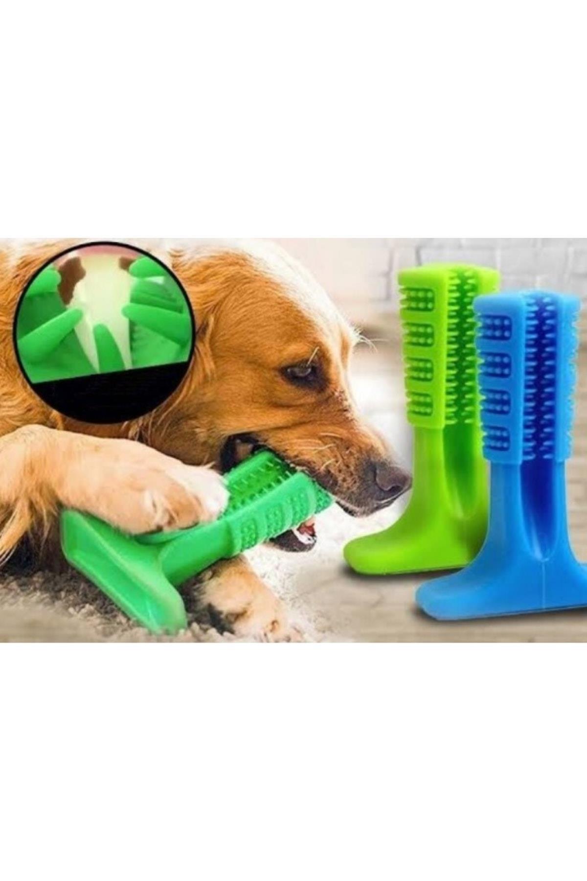 Köpek Diş Fırçası Isırma Aparatı Küçük  Boy, Köpek Dişlik Yeşil