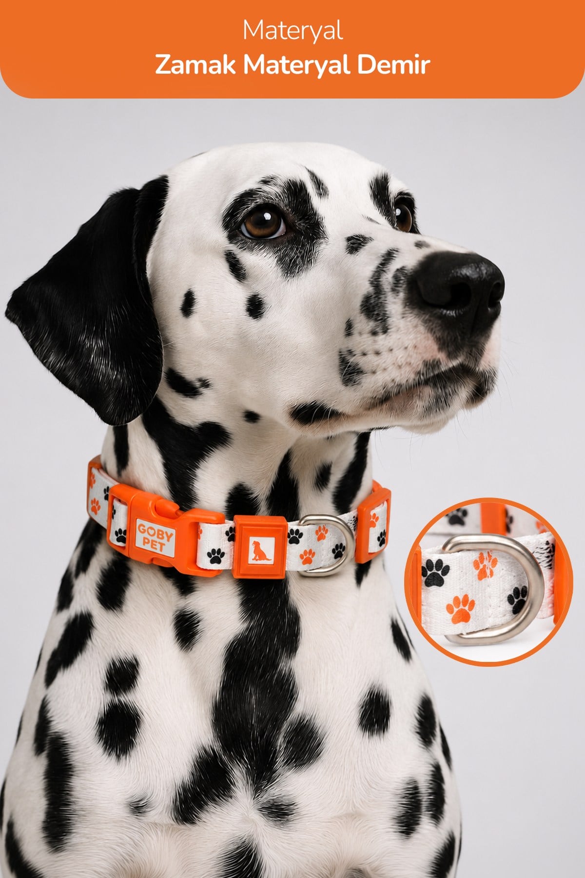 Köpekler İçin Dayanıklı Ve Güvenli, Desenli Boyun Tasması ( 25mm )
