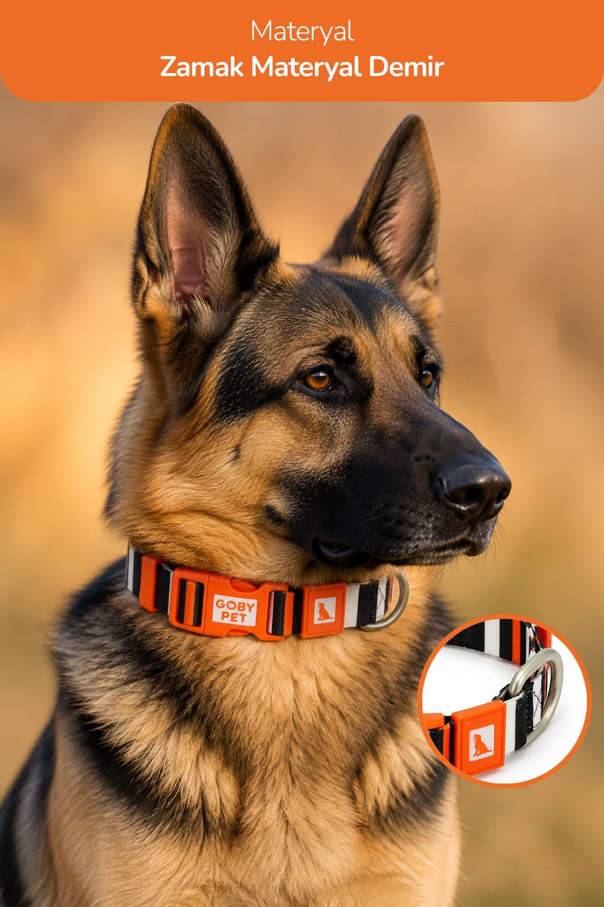 Köpekler İçin Dayanıklı Ve Güvenli, Desenli Boyun Tasması ( 25mm )