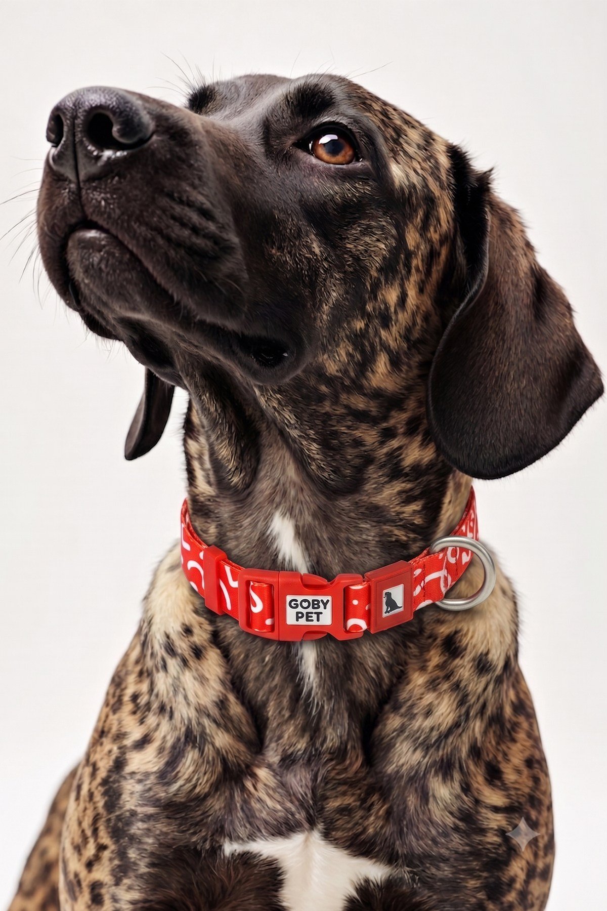 Köpekler İçin Dayanıklı Ve Güvenli, Desenli Boyun Tasması ( 25mm )