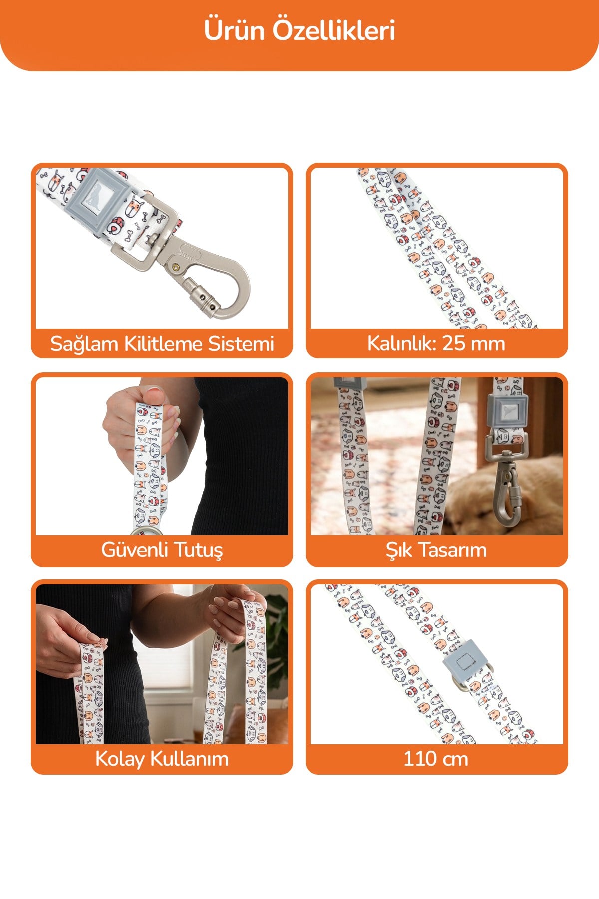 Köpekler İçin Dayanıklı Ve Güvenli, Desenli Gezdirme Tasması ( 25mm )  