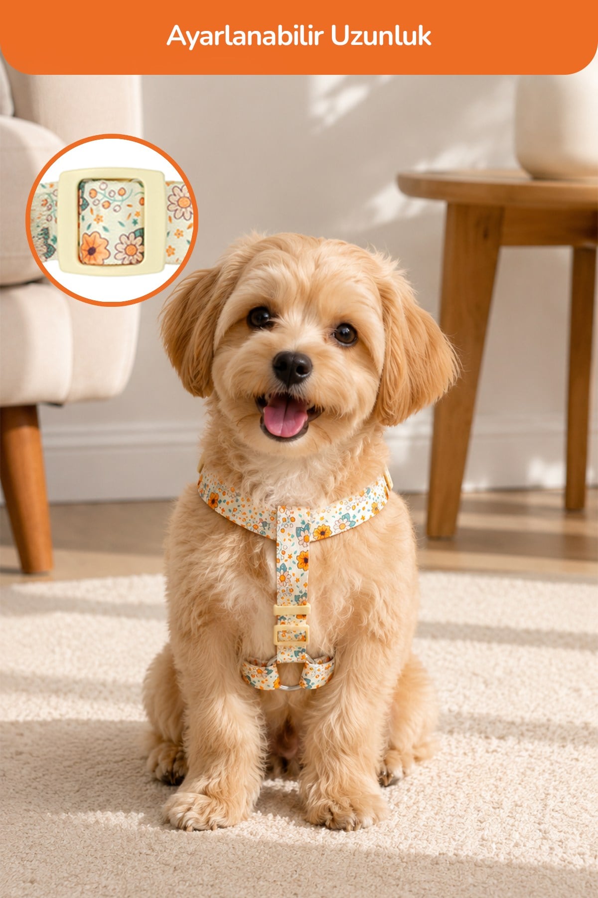 Köpekler İçin Dayanıklı Ve Güvenli, Desenli H Tipi Göğüs Tasması ( 20mm ) 