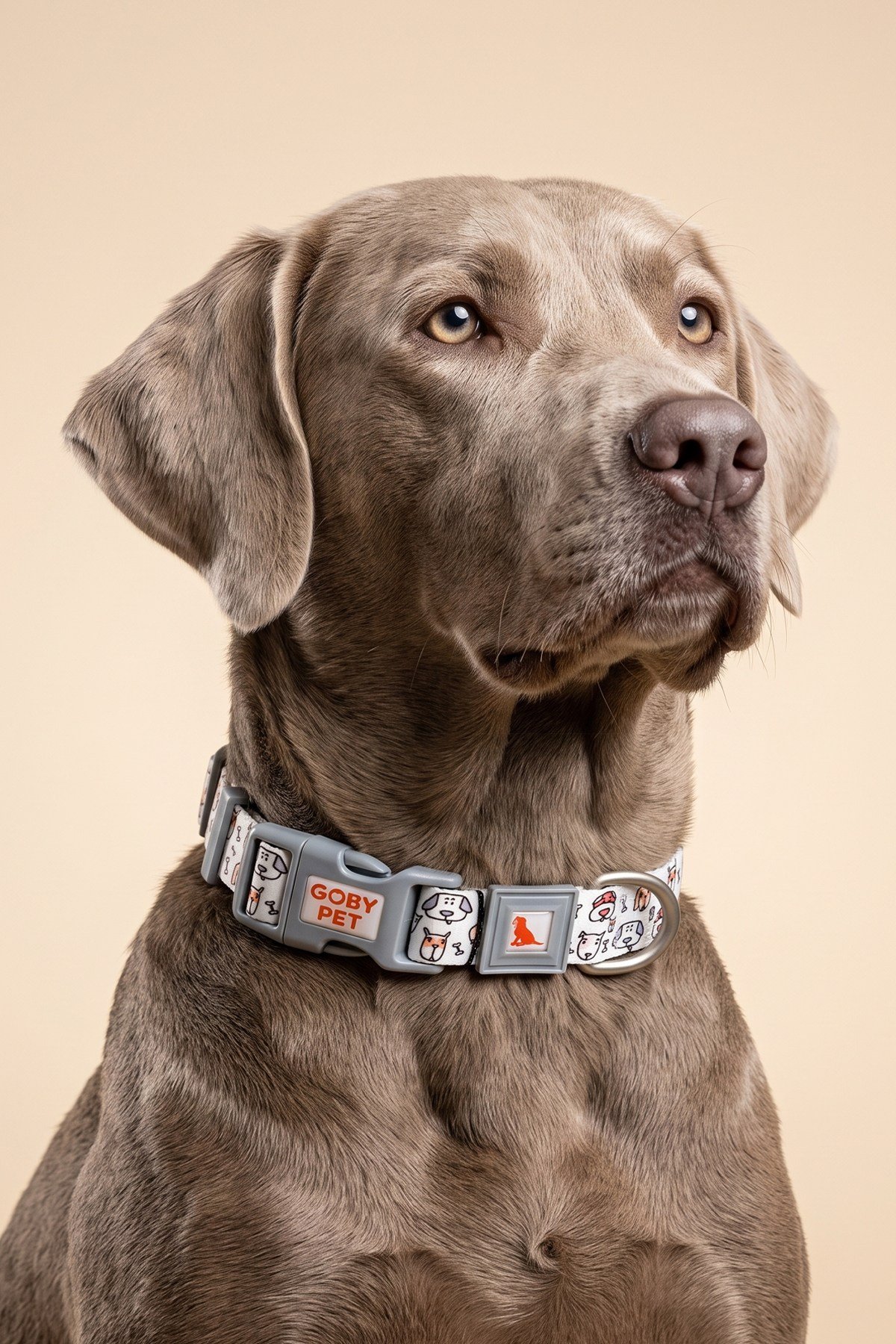 Köpekler İçin Dayanıklı Ve Güvenli, Desenli Boyun Tasması ( 25mm )