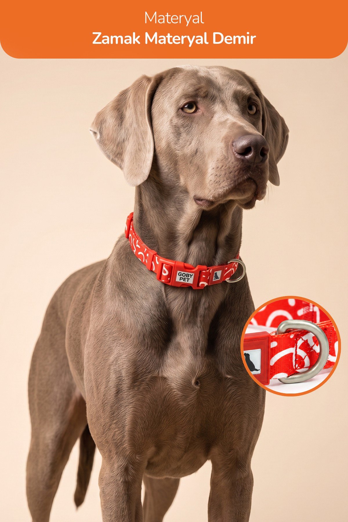 Köpekler İçin Dayanıklı Ve Güvenli, Desenli Boyun Tasması ( 25mm )
