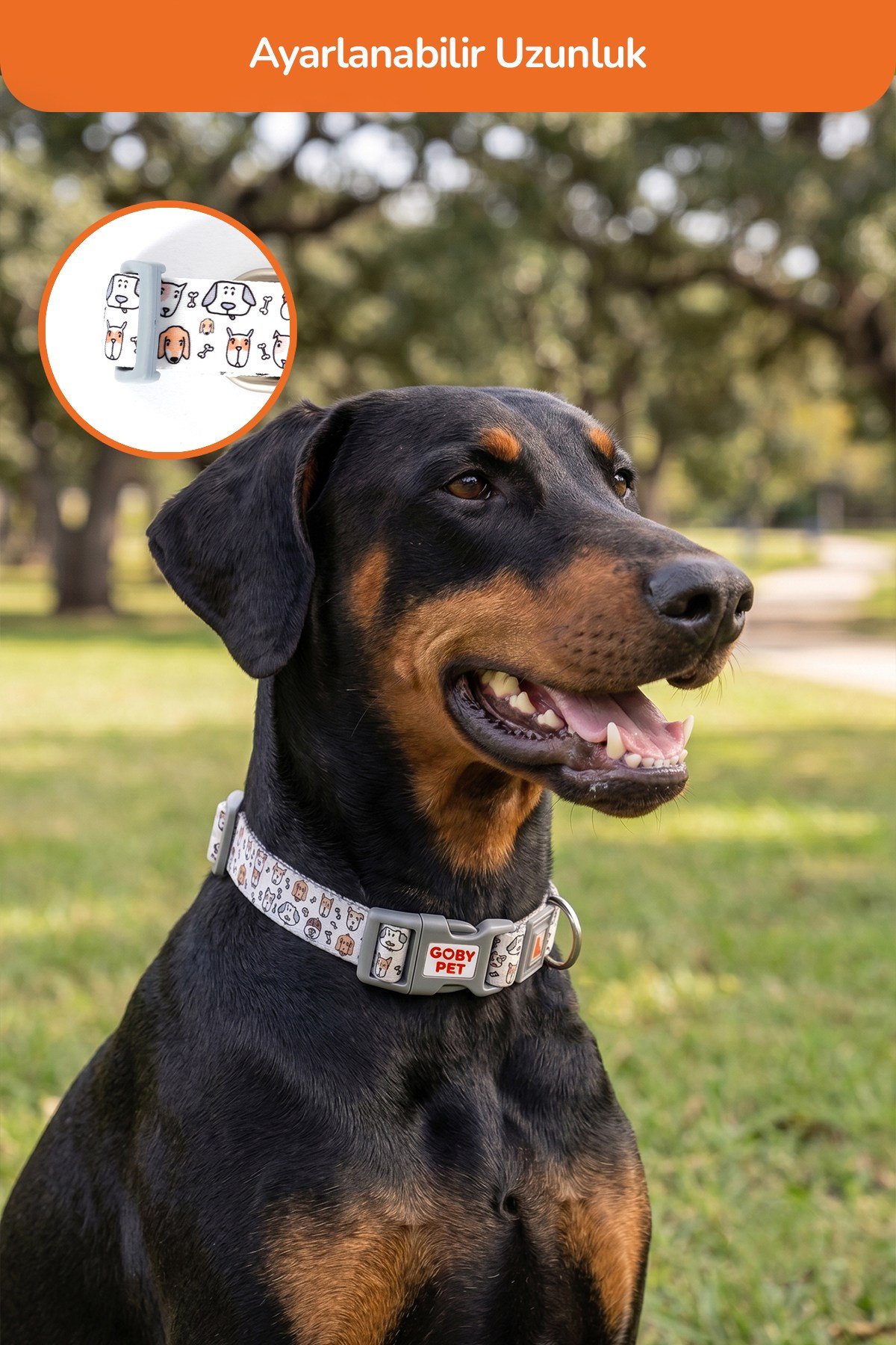 Köpekler İçin Dayanıklı Ve Güvenli, Desenli Boyun Tasması ( 25mm )