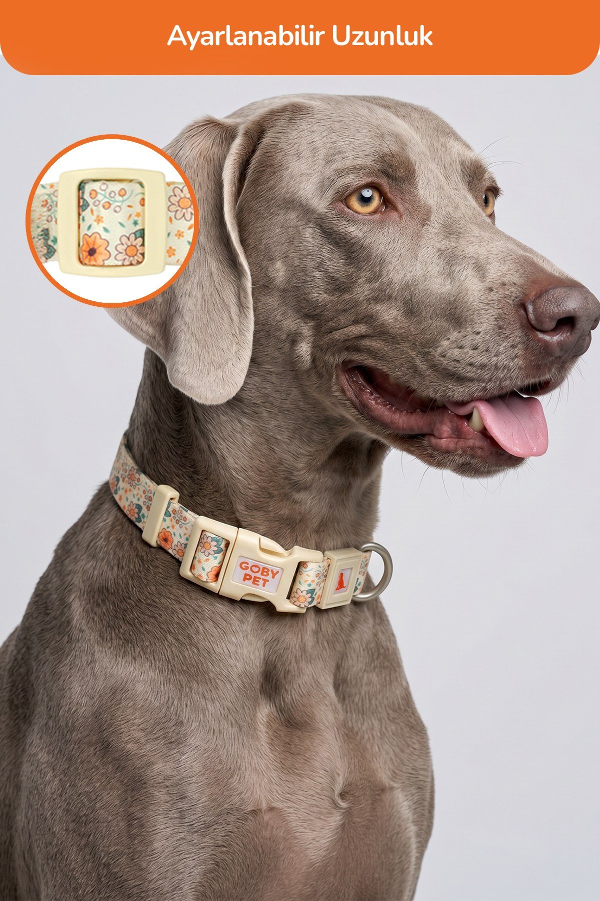 Köpekler İçin Dayanıklı Ve Güvenli, Desenli Boyun Tasması ( 25mm )