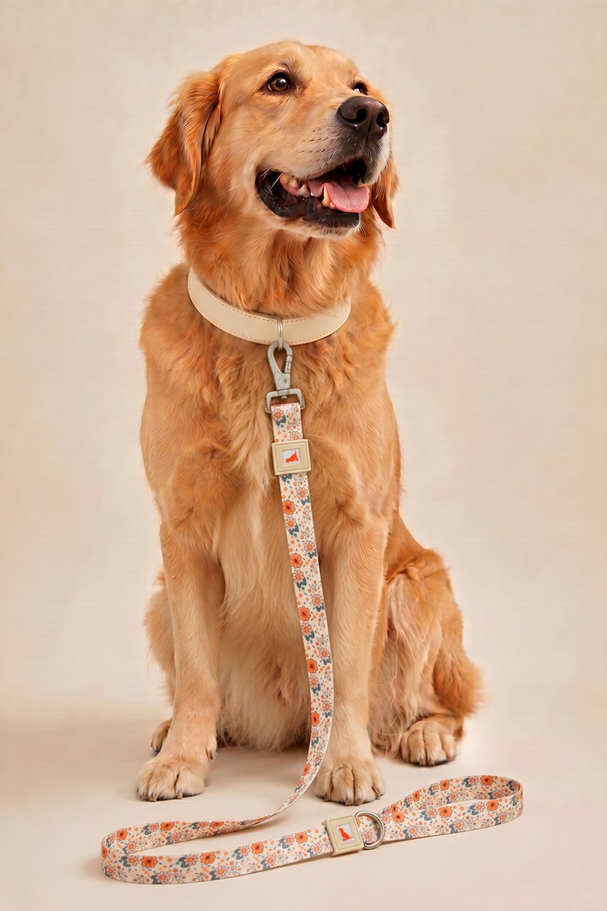 Köpekler İçin Dayanıklı Ve Güvenli, Desenli Gezdirme Tasması ( 25mm )  