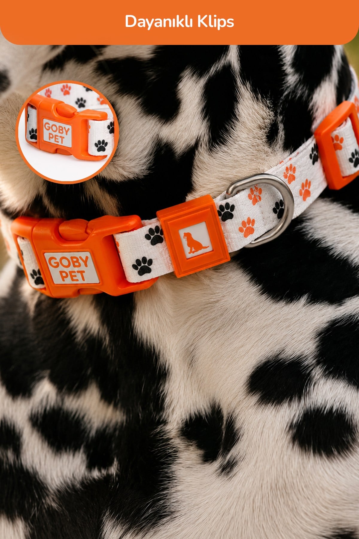 Köpekler İçin Dayanıklı Ve Güvenli, Desenli Boyun Tasması ( 25mm )