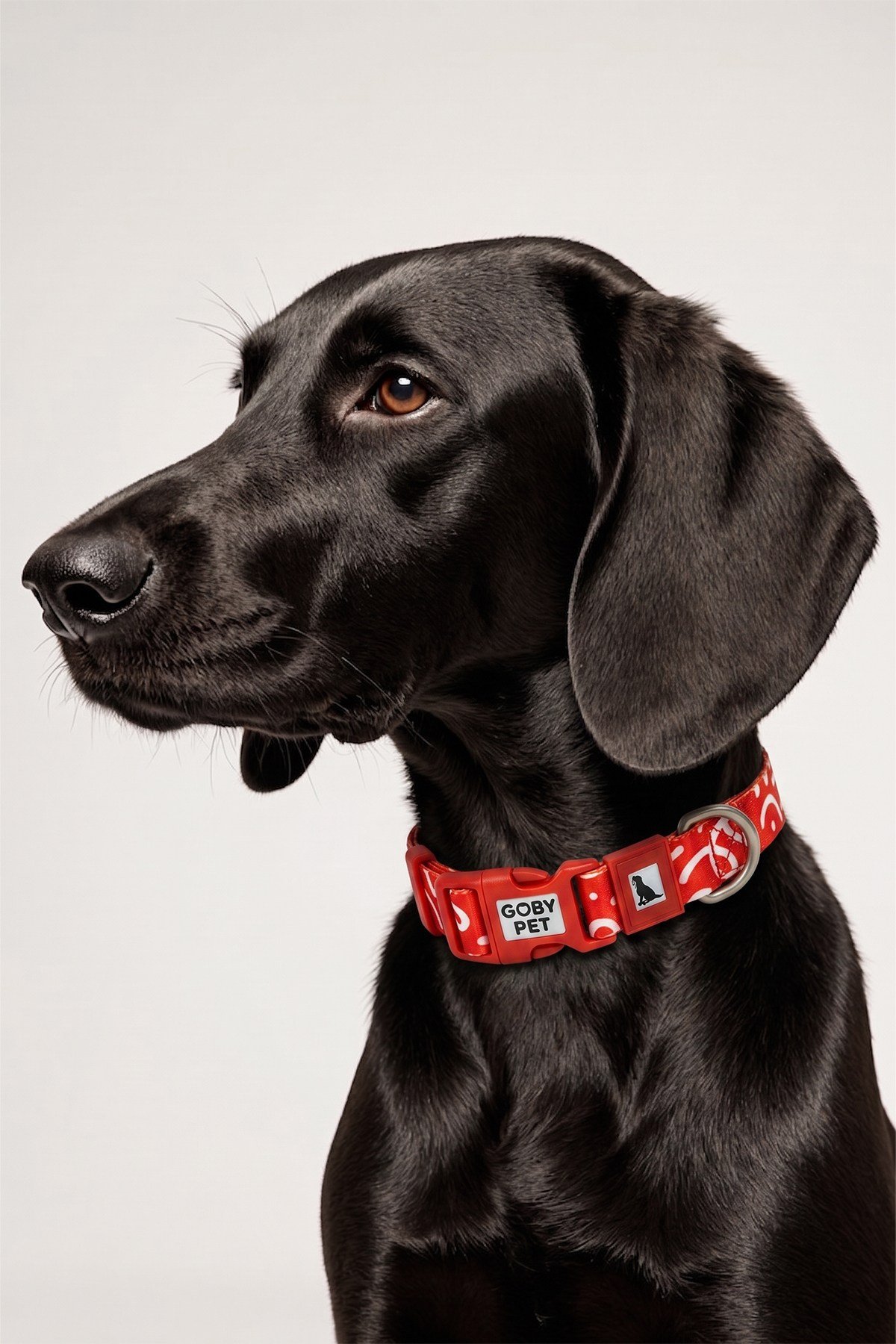 Köpekler İçin Dayanıklı Ve Güvenli, Desenli Boyun Tasması ( 25mm )
