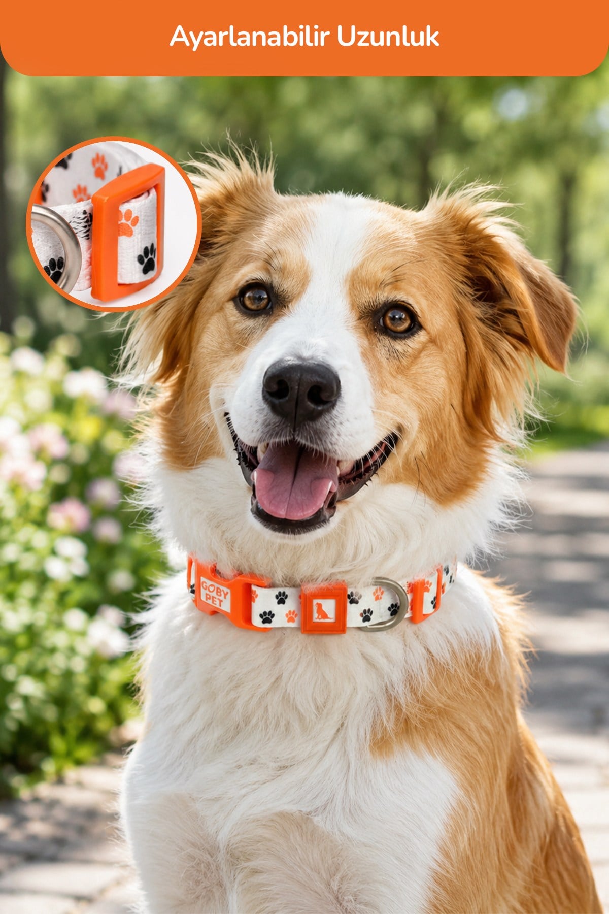 Köpekler İçin Dayanıklı Ve Güvenli, Desenli Boyun Tasması ( 25mm )