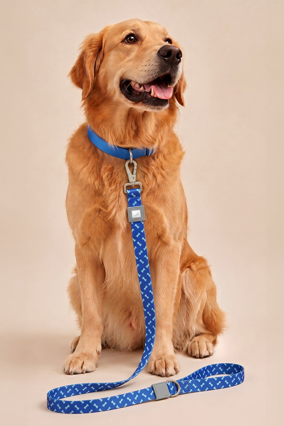 Köpekler İçin Dayanıklı Ve Güvenli, Desenli Gezdirme Tasması ( 25mm )  