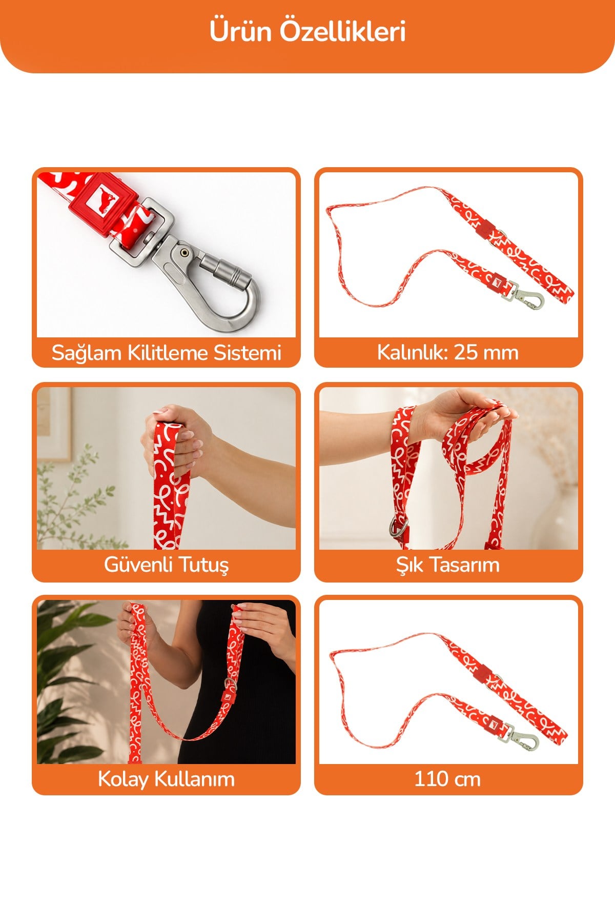 Köpekler İçin Dayanıklı Ve Güvenli, Desenli Gezdirme Tasması ( 25mm )  