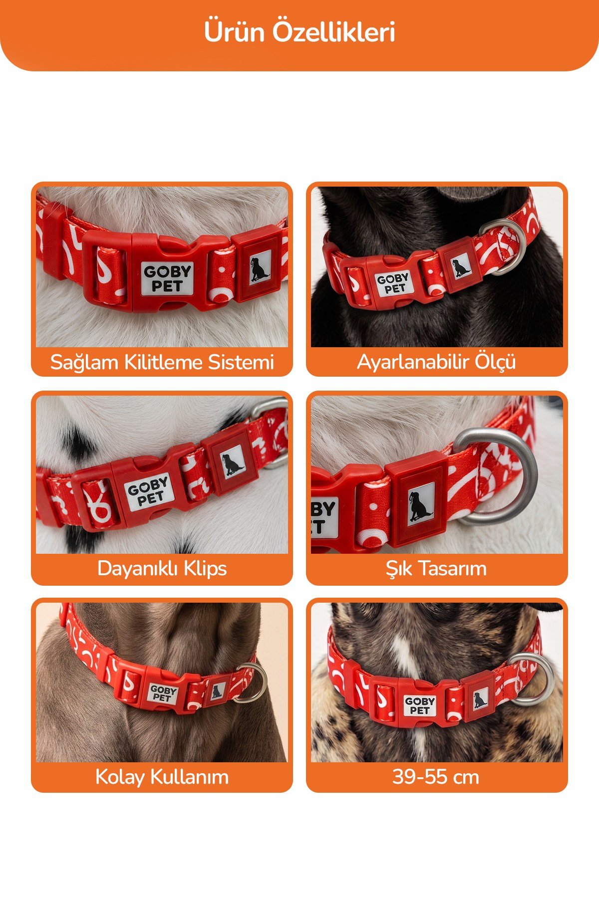 Köpekler İçin Dayanıklı Ve Güvenli, Desenli Boyun Tasması ( 25mm )