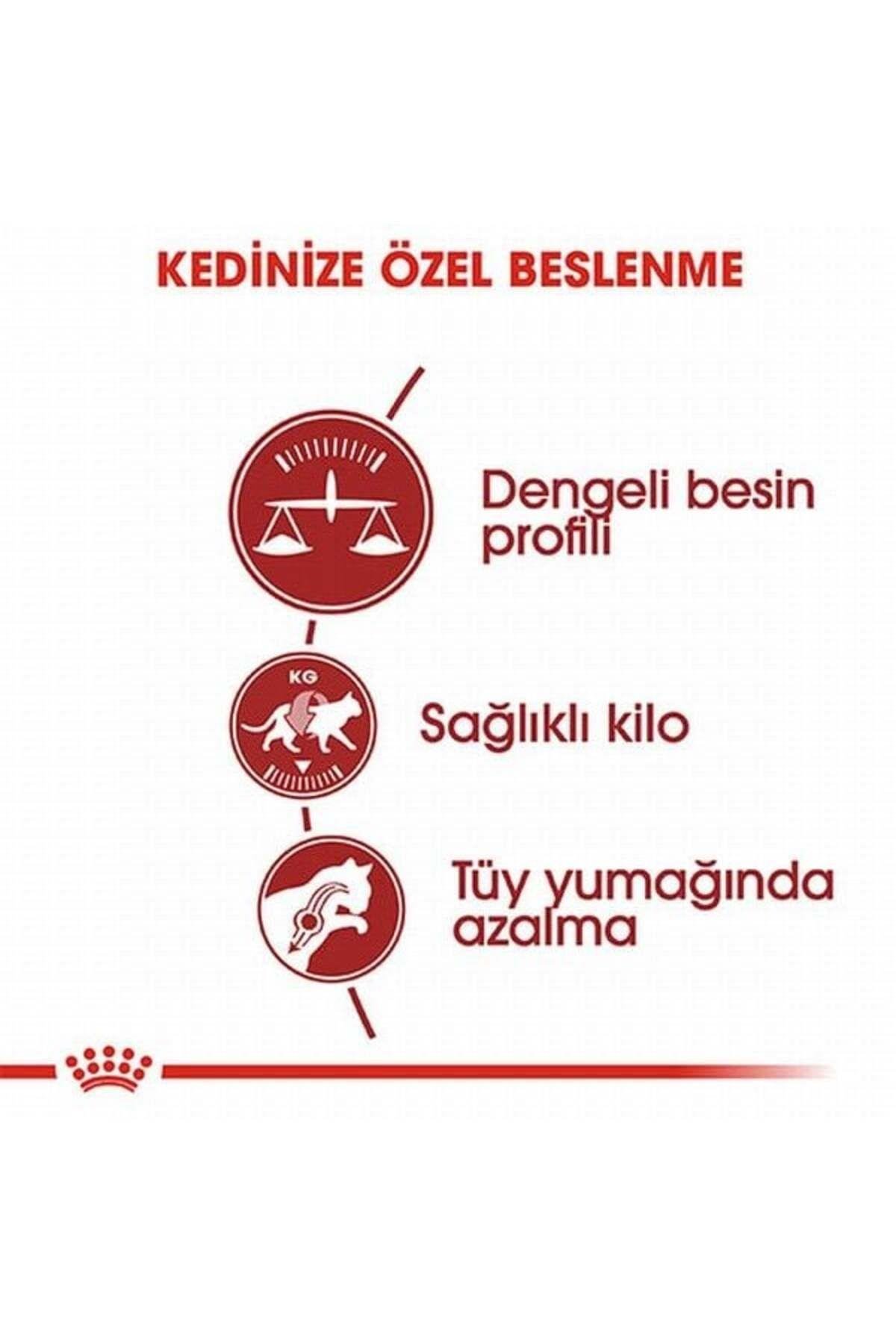 Royal Canin Adult Fit 32 Yetişkin Diyet Kedi Maması 10 Kg