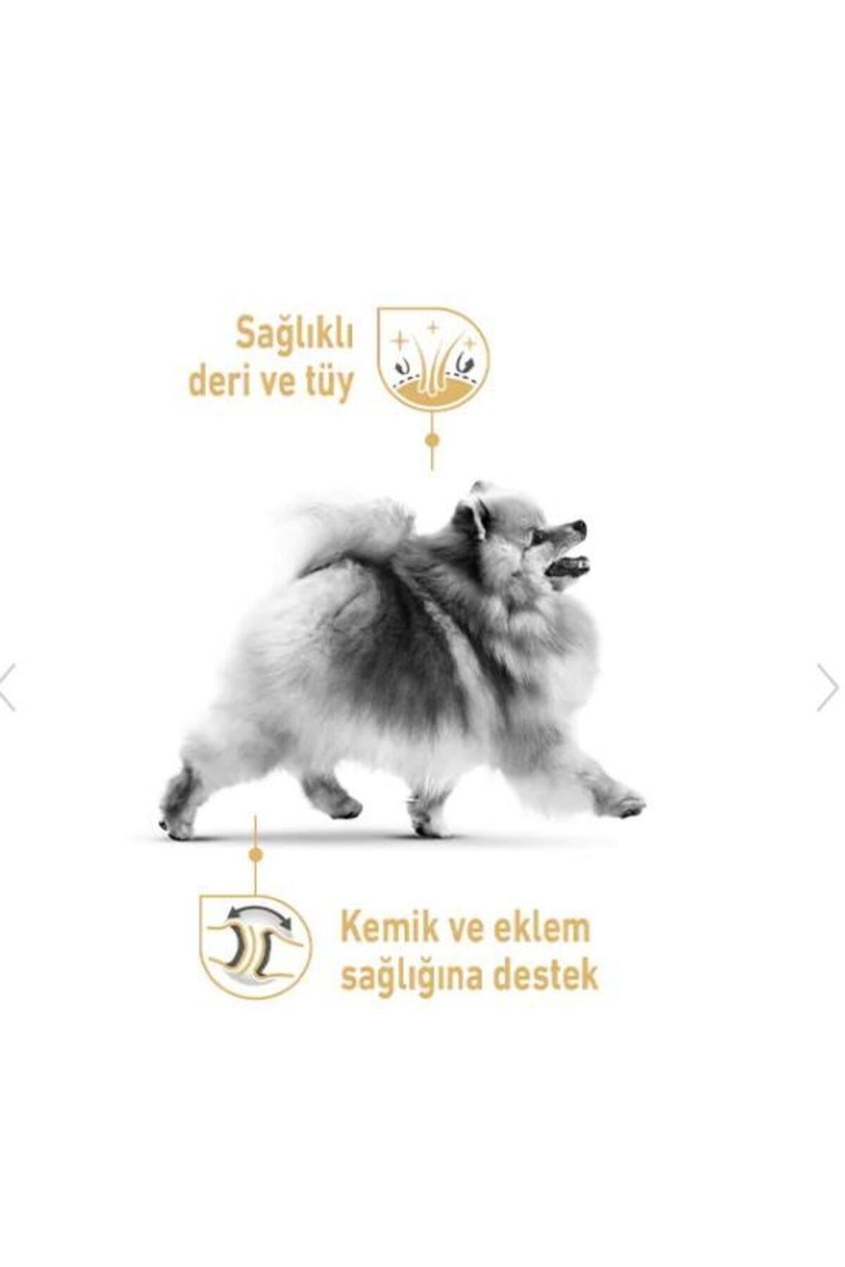 Royal Canin Bhn Pomeranıan Yetişkin Köpek Maması 3 Kg