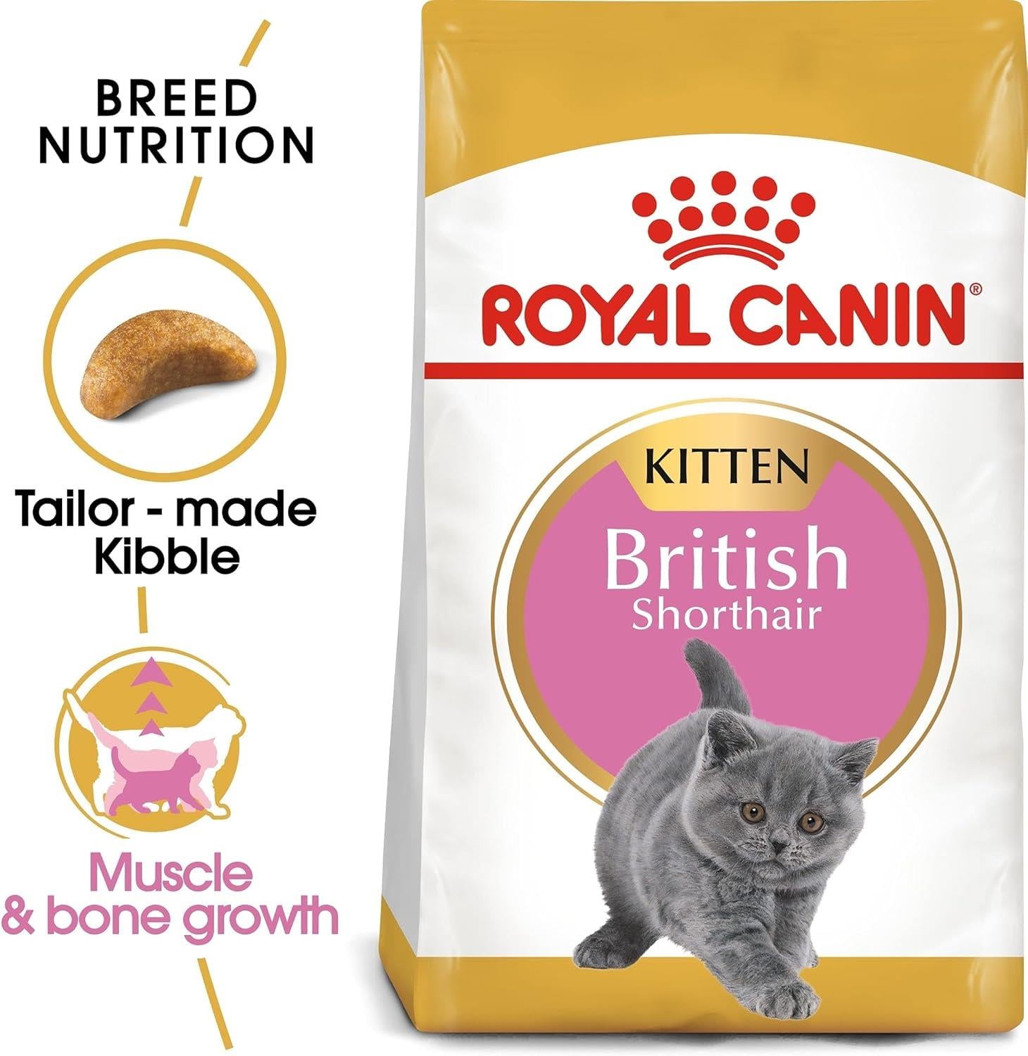 Royal Canin British ShortHair Kuru Yetişkin Kedi Maması 2 Kg