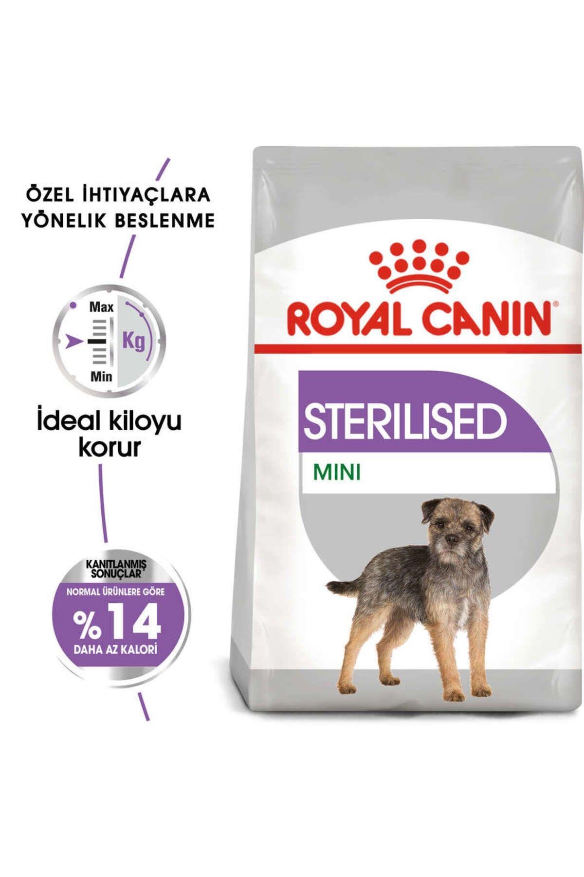 Royal Canin Ccn Mini Sterilised 3 Kg Köpek Maması