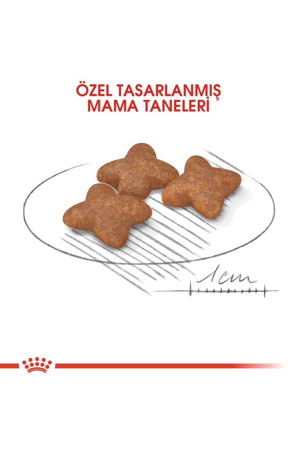 Royal Canin Mini Adult Köpek Maması, 4 Kg