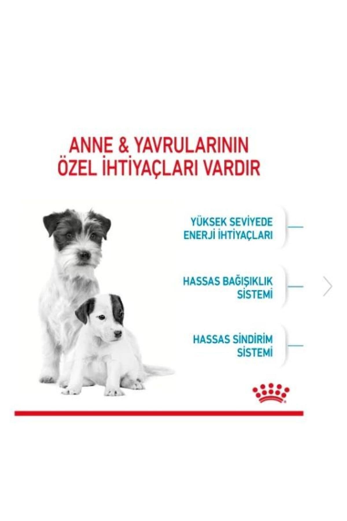 Royal Canin Mini Starter Mother Baby Dog 4 Kg Yavru Köpek Maması