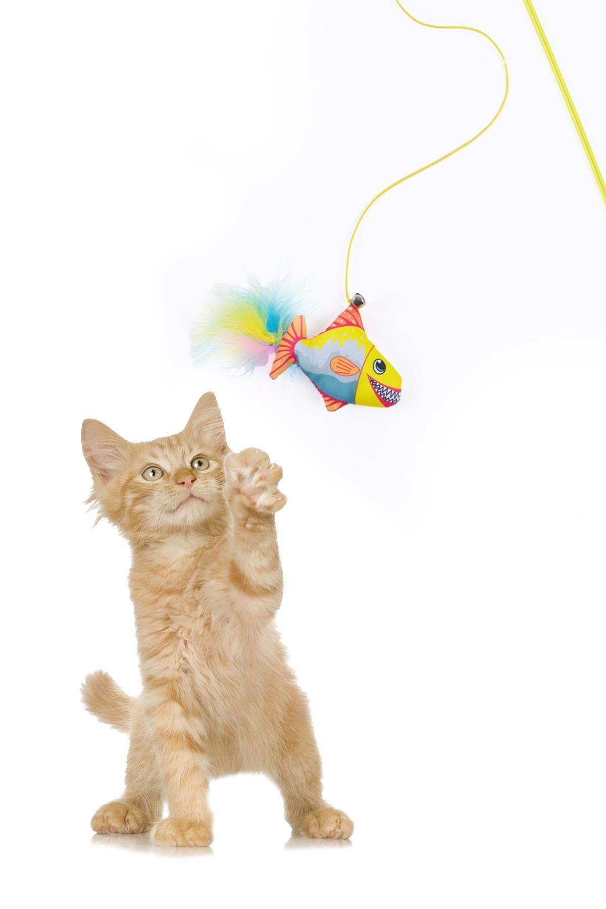 Tüylü Kedi Oltası, Sarı Balık  Kedi Oyun Oltası