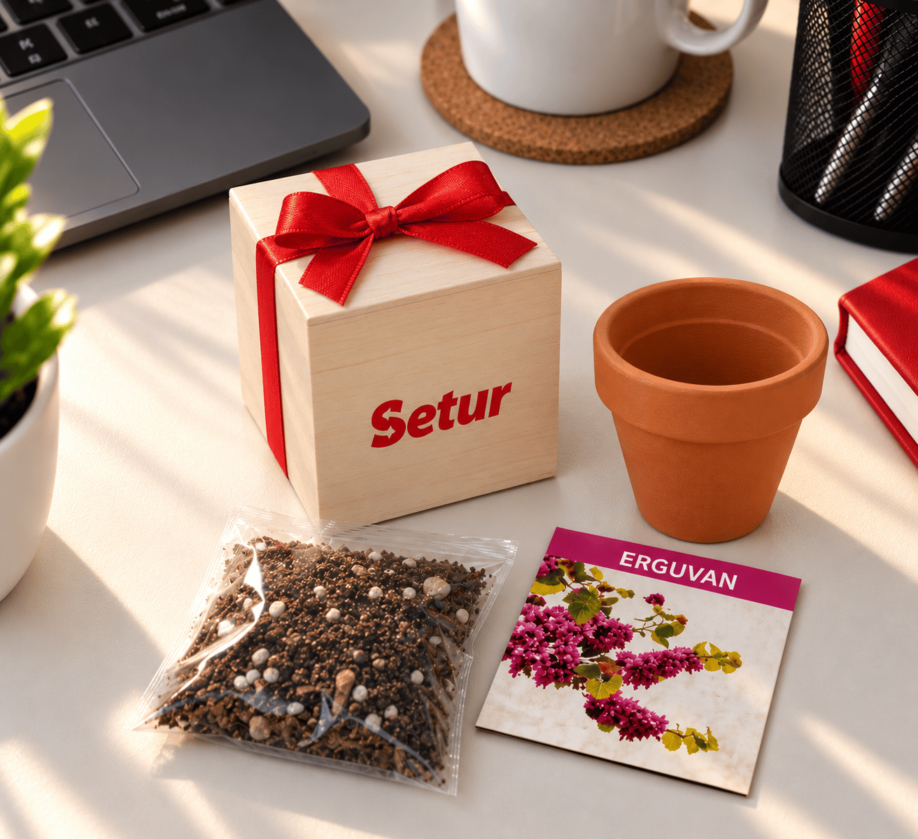  Çiçek Bitki Ekim Kiti Hediye Kutusu
