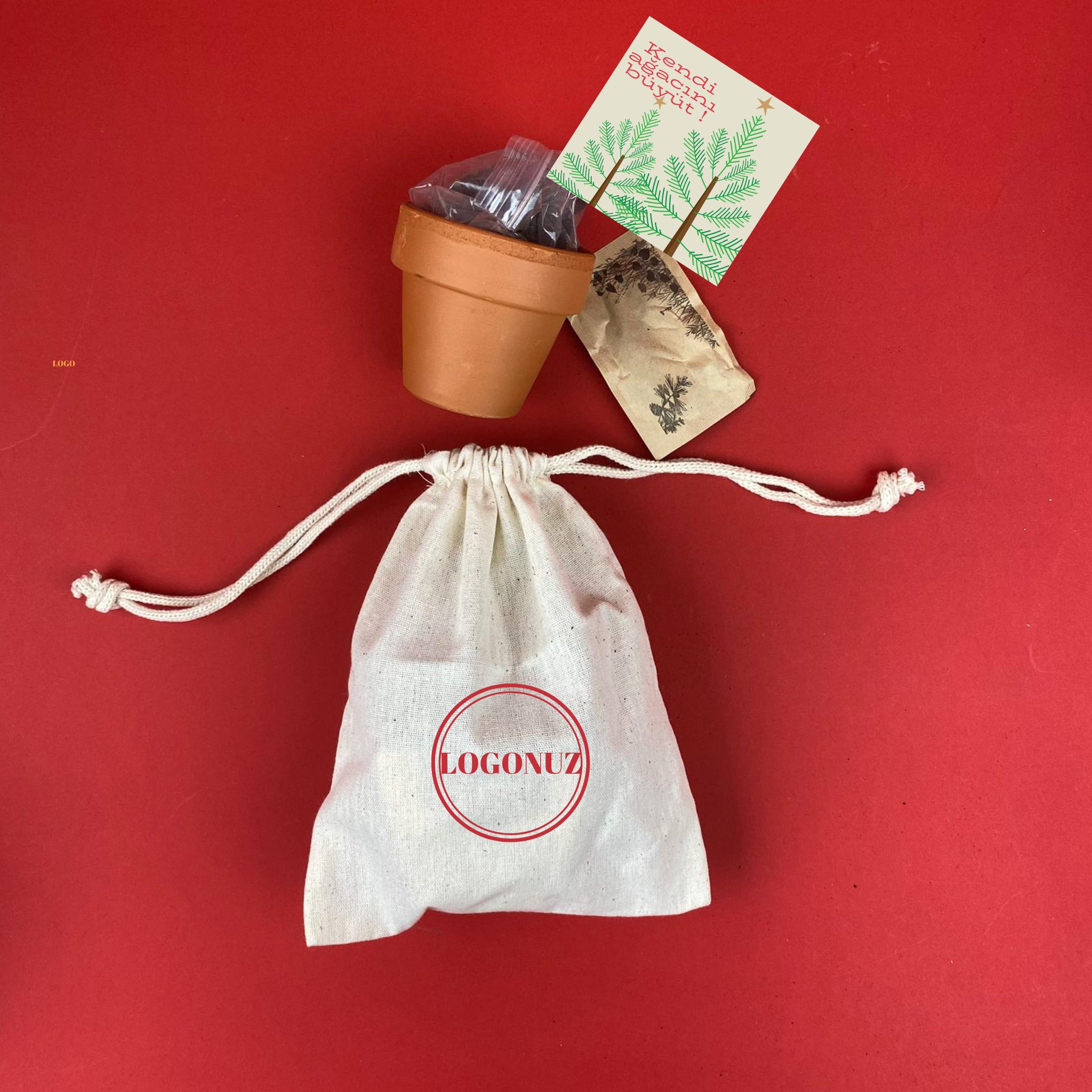 Kendi Bitkini yetiştir Ekim kiti 