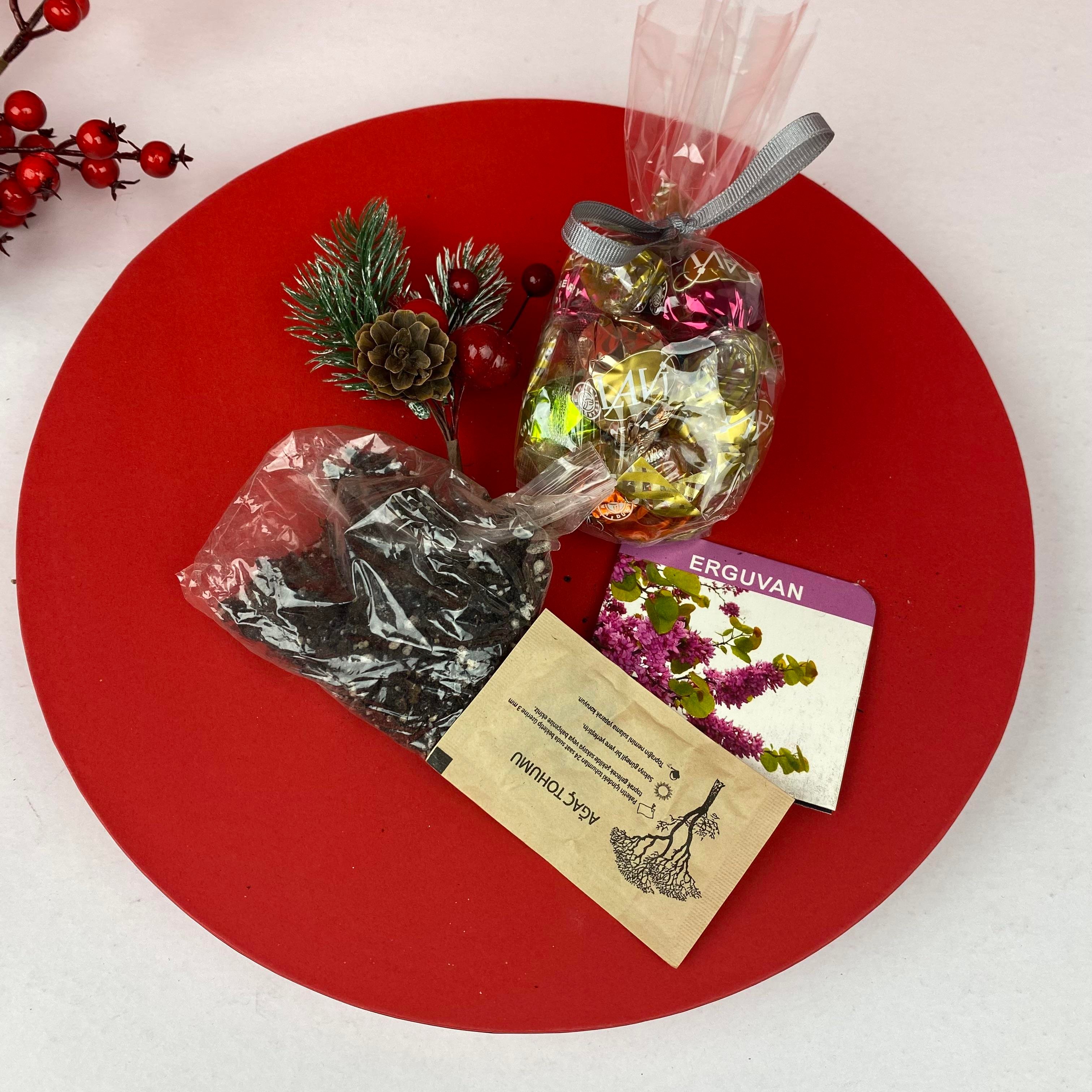 Yılbaşı Saksısı 