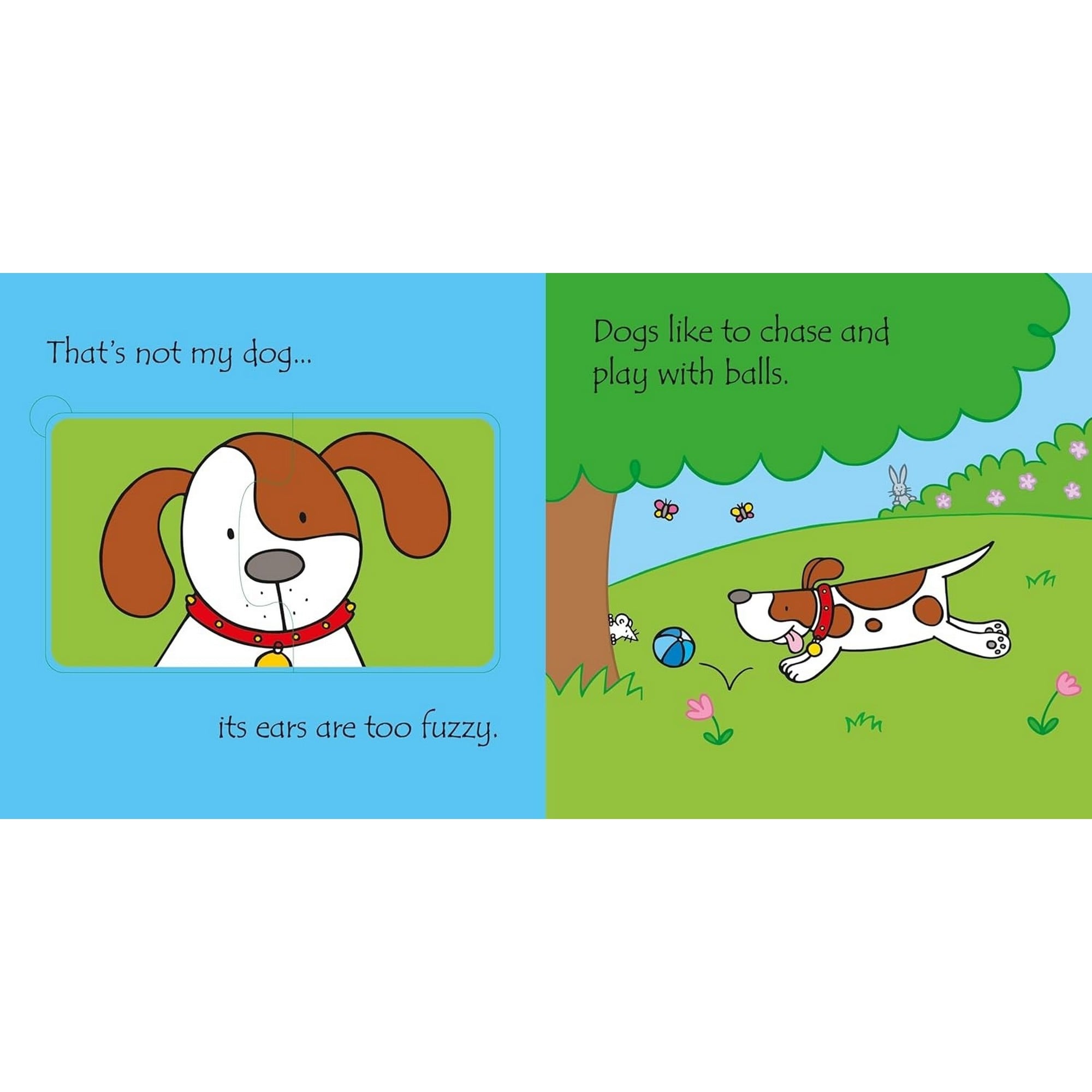 Usborne - Pets Kitap