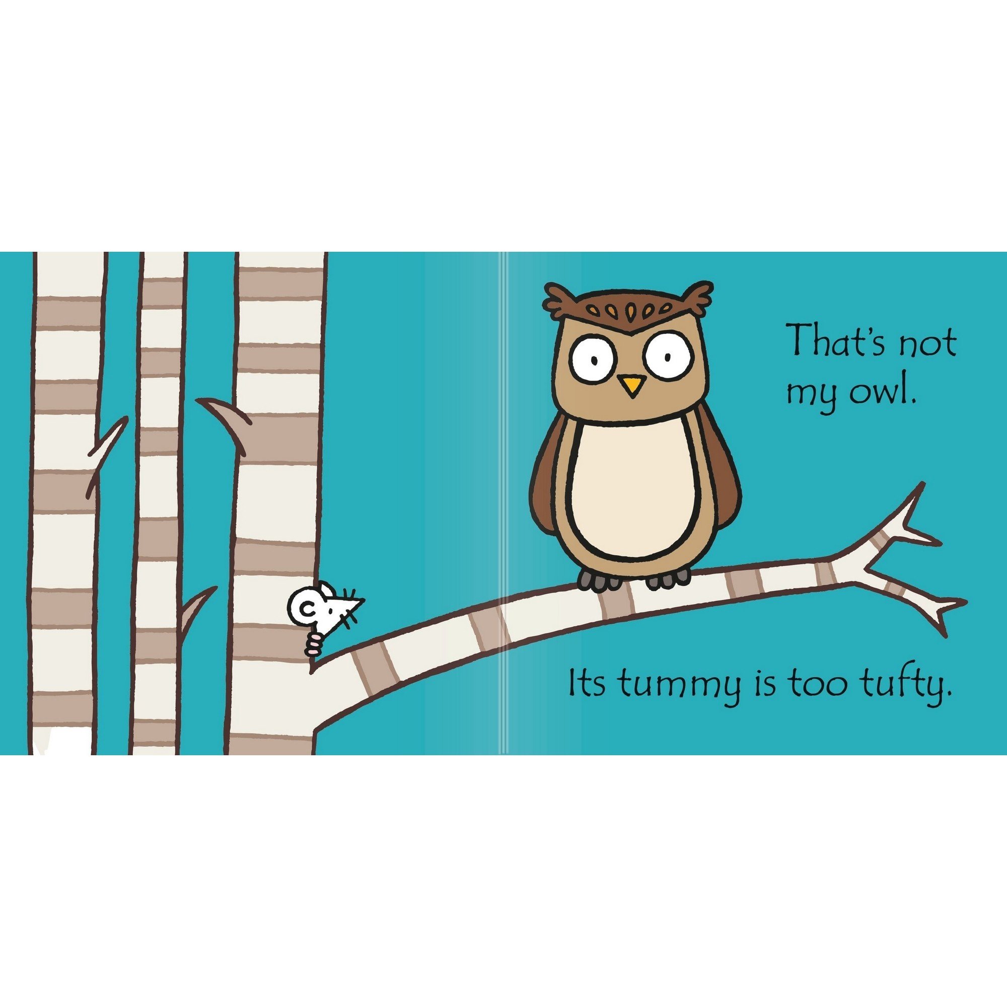 Usborne - Thats Not My Owl Kitap