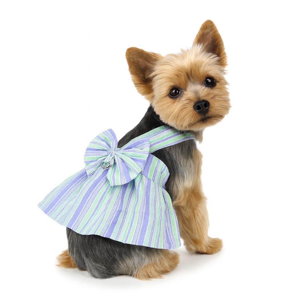 Dolce Pets Çizgili Fiyonk Elbise/Yeşil
