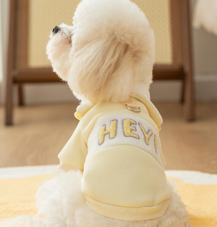 DolcePets Hey Sweatshirt/Sarı