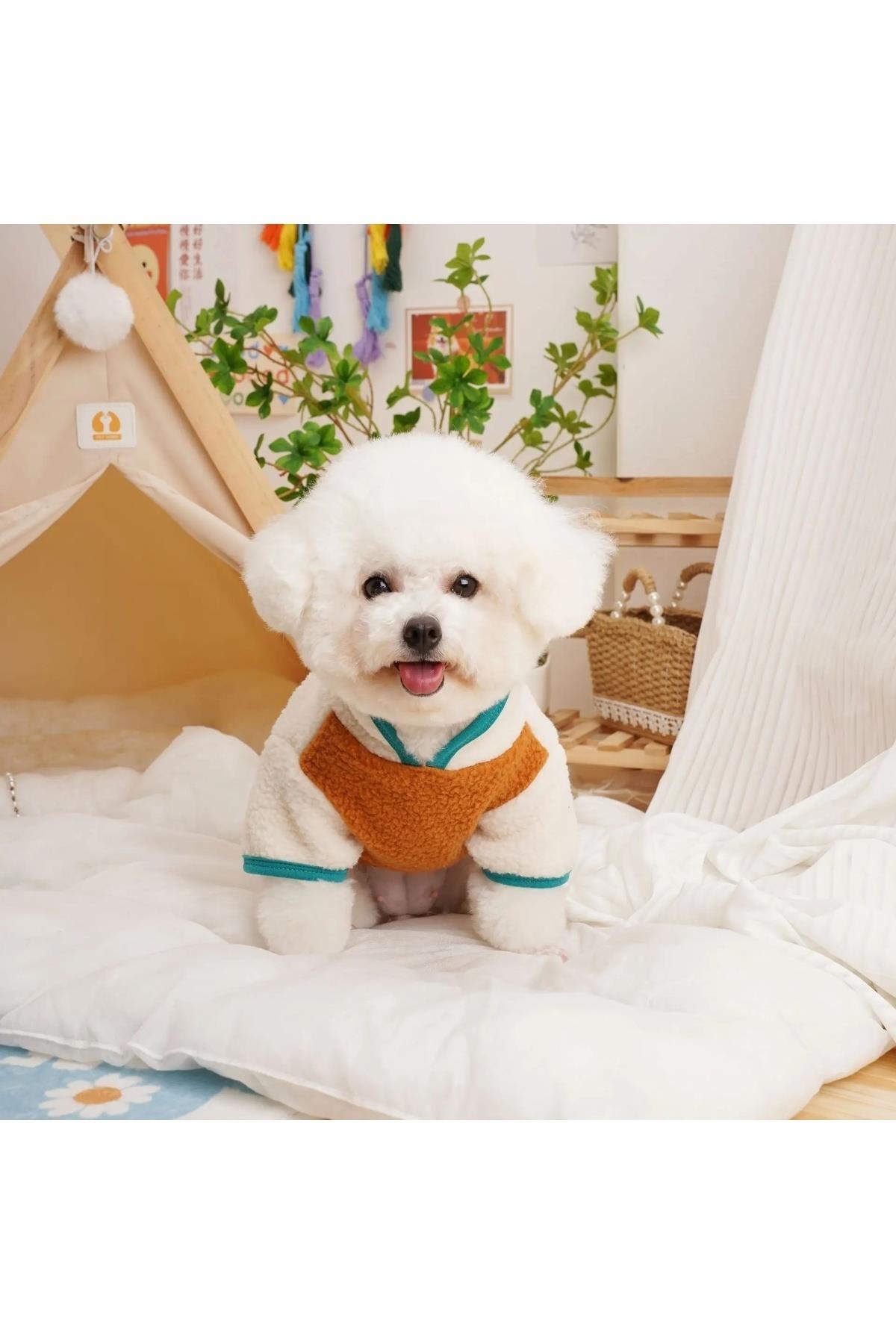 Dolcepets /kedi Köpek Kıyafeti & Elbisesi Polar Ceket/turuncu