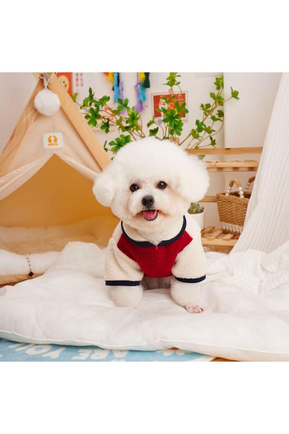 Dolcepets /kedi Köpek Kıyafeti & Elbisesi Polar Ceket/Bordo