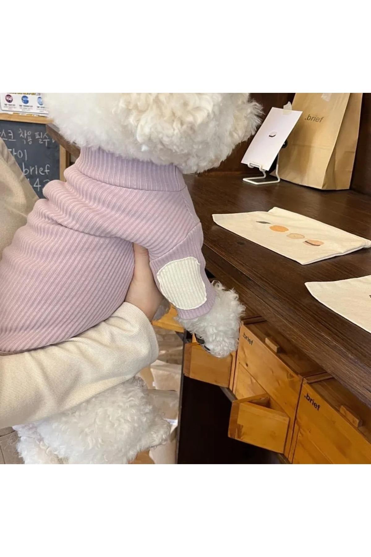 DolcePets Kedi Köpek Kıyafeti / Köpek Kazağı/Mor